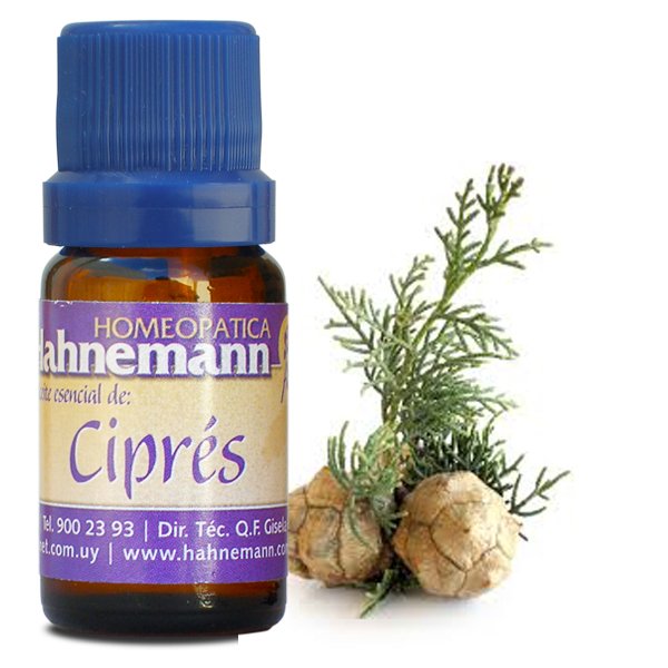 ACEITE DE CIPRÉS
