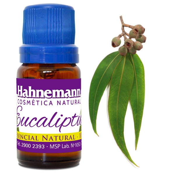 ACEITE DE EUCALIPTUS
