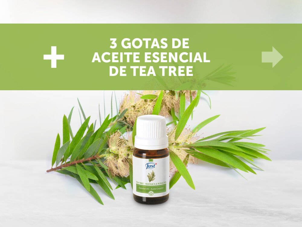 Aromablends - Bruma Antibacterial - Imagen 2