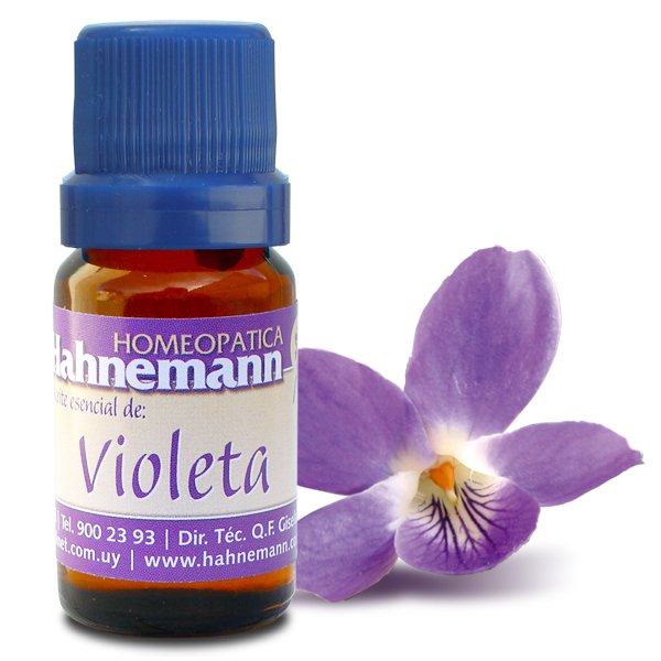 ACEITE DE VIOLETA