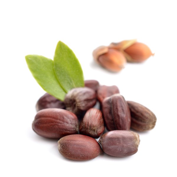 ACEITE VEHICULAR DE JOJOBA
